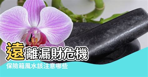 保險箱放地上|【風水保險櫃的擺放位置】遠離漏財危機 